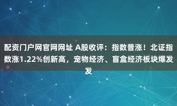 配资门户网官网网址 A股收评：指数普涨！北证指数涨1.22%创新高，宠物经济、盲盒经济板块爆发